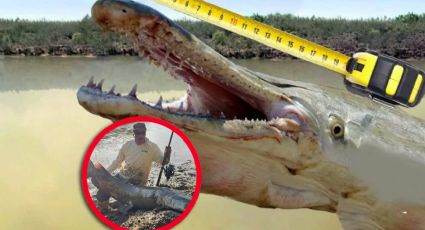 Gigantesco catán es pescado en Texas; fue un día entero de espera y lucha