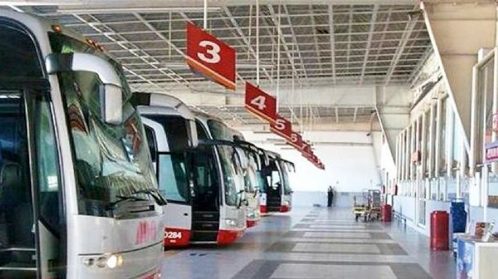 Famosa marca de autobuses dará descuentos a estudiantes y maestros, ¿a partir de cuándo?