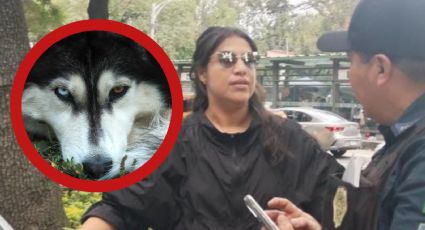 Indigna en redes caso de mujer que mató a perrito; esto fue lo que hizo