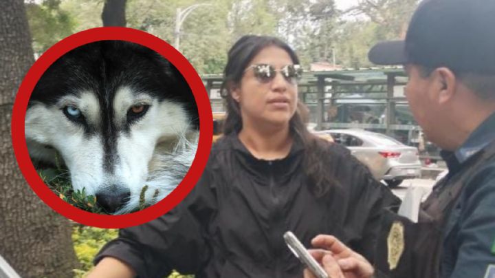 Indigna en redes caso de mujer que mató a perrito; esto fue lo que hizo