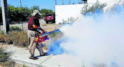Arman frente contra dengue en estas colonias de Nuevo Laredo