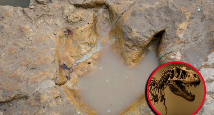 Texas: inundaciones dejan al descubierto huellas de mítico animal; miden medio metro | VIDEO