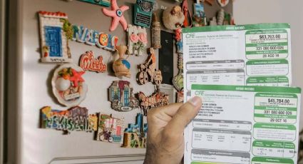 CFE: ¿Los imanes en los refrigeradores aumentan el consumo de luz?, esto se sabe