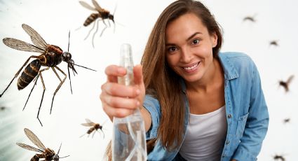 Este poderoso aceite natural elimina plagas de cucarachas y hasta moscas