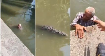 Salvan a abuelito de ser atacado por cocodrilo en canal de Tamaulipas | VIDEO
