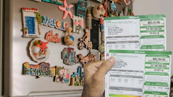 CFE: ¿Los imanes en los refrigeradores aumentan el consumo de luz?, esto se sabe