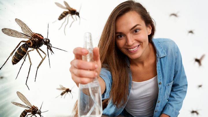 Este poderoso aceite natural elimina plagas de cucarachas y hasta moscas