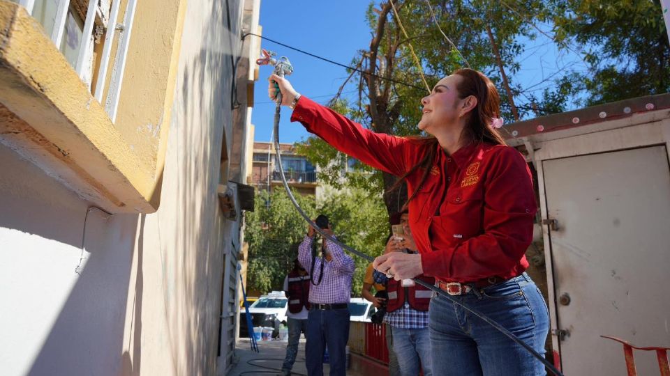 Carmen Lilia Canturosas trabajando arduamente.
