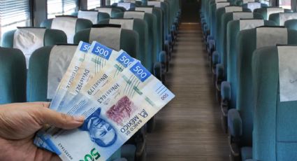 Vacaciones de verano 2025: ¿cuánto cuesta viajar en el Tren Chepe Express en agosto de 2025?