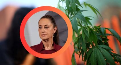 'Que no se preste para venta de otras drogas': Sheinbaum aborda regulación de zonas de cannabis