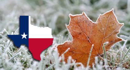 Texas: pronostican intenso frío para el invierno 2025; heladas llegarían en este mes