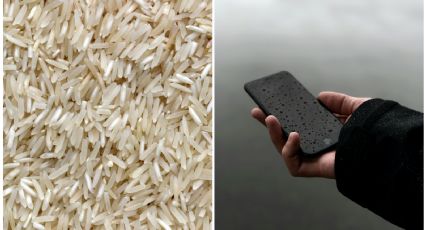 ¿Sirve meterlo en arroz?; estos son los mejores tips para salvar tu celular cuando se moja