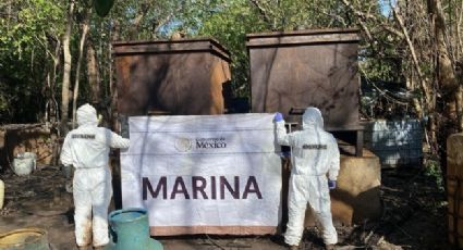 Aseguran 12 toneladas de metanfetamina en Nayarit; autoridades desmantelan laboratorio de drogas