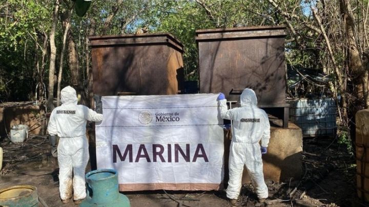Aseguran 12 toneladas de metanfetamina en Nayarit; autoridades desmantelan laboratorio de drogas