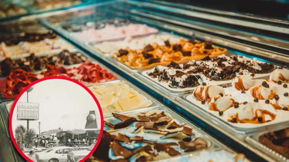 Todo comenzó en 1972, cuando Francisco Vega Padilla, heredero de una empresa láctea en Lagos de Moreno, Jalisco, fundó la exitosa marca