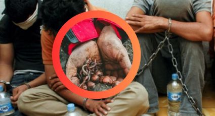 'Niños devorados por gusanos': migrante narra calvario tras ser secuestrado por grupo delictivo