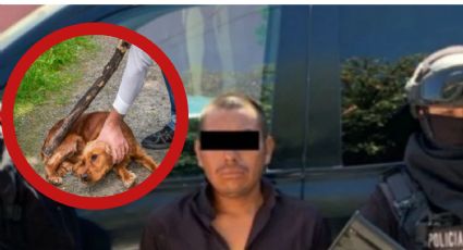 Arrestan a sujeto por golpear y estrangular a un perro en Nuevo León