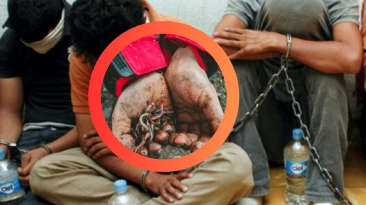 'Niños devorados por gusanos': migrante narra calvario tras ser secuestrado por grupo delictivo