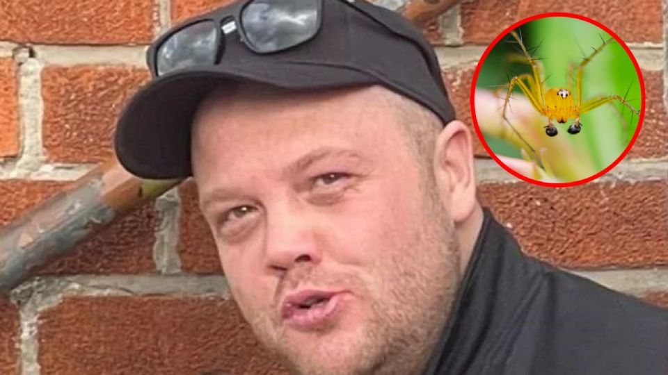 Hombre muere tras ser picado por una araña que pidió en internet