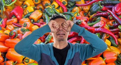 ¿Qué tan saludable es enchilarse y cuáles son los beneficios de comer picante?