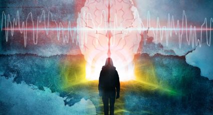 Resurrección cerebral: el avance científico que desafía la frontera entre la vida y la muerte