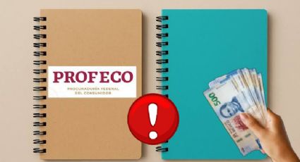 Regreso a clases 2025: Profeco revela qué cuadernos salieron peor evaluados