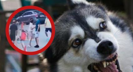 Perro ataca sin piedad a mujer en plena calle; la dejó con heridas graves | VIDEO