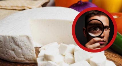 Profeco: el queso panela con el mejor sabor; tienen calidad premium