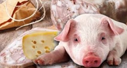¿Qué es realmente el queso de puerco?, descubre sus ingredientes y el mal que podría hacerte a la salud