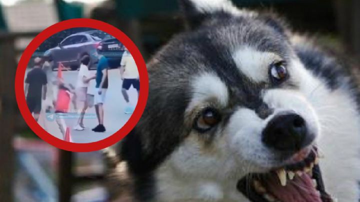 Perro ataca sin piedad a mujer en plena calle; la dejó con heridas graves | VIDEO