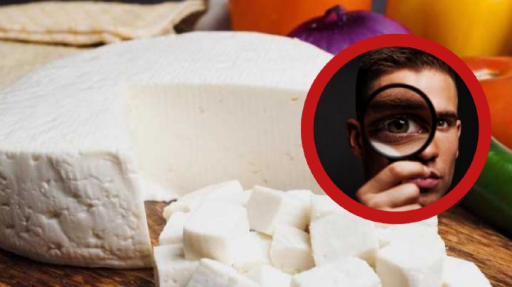 Profeco: el queso panela con el mejor sabor; tienen calidad premium