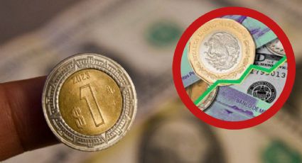 Peso mexicano aguanta los embates del dólar y sale airoso: tipo de cambio del dólar HOY 21 de agosto