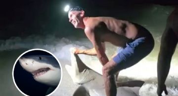 Pescador sufre ataque de tiburón que acababa de cazar; presumía su logro a la orilla del mar | VIDEO