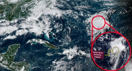 Se forma la tormenta tropical Fernand: ¿podría llegar a las costas de México?; esta es su trayectoria