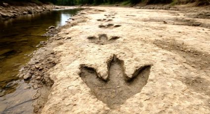 ¿En dónde se pueden hallar huellas de dinosaurio en ambos lados de la frontera de México y EU?
