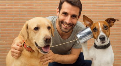 Estas son las palabras que los perros 'entienden' a la perfección, según expertos