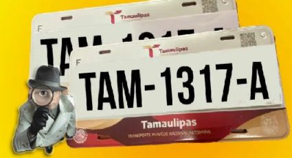 Tamaulipas: ¿qué debo hacer si pierdo una placa de mi vehículo?