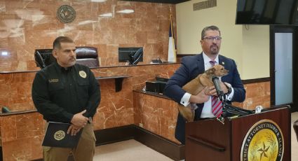 Mujer es detenida por cargos de abuso contra animales; podría ir a la cárcel