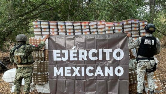 Gabinete de Seguridad desmantela laboratorios y asegura armas en Sinaloa y Sonora