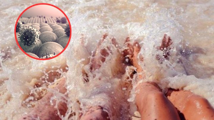 Van seis muertos en este estado por bacteria ‘come carne’; ¿alertan por su forma de contagio?