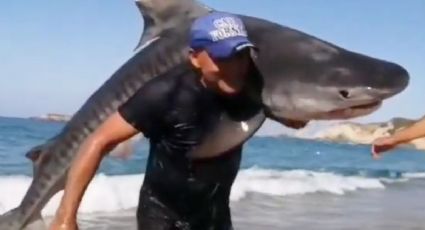 ¿Hombre pesca tiburón con sus propias manos en playa mexicana?; esto se sabe | VIDEO