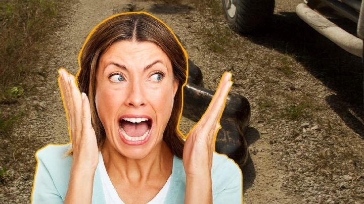 Enorme serpiente de más de 2 metros sorprende a familia en Nuevo León | VIDEO