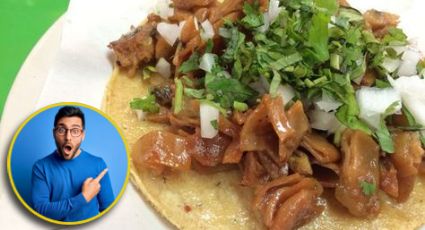 ¿Los tacos de tripa son dañinos para la salud?, la realidad de este polémico platillo