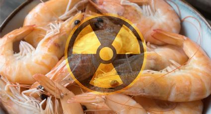 Ordenan retirar toneladas de camarones radiactivos de Walmart y Kroger