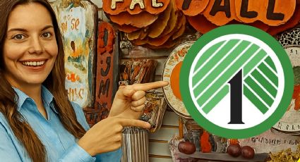 Dollar Tree se adelanta al otoño con minidecoraciones irresistibles desde 1.50 dólares