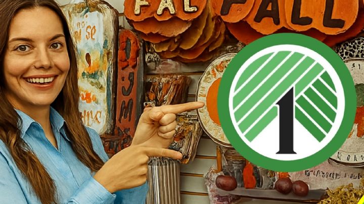Dollar Tree se adelanta al otoño con minidecoraciones irresistibles desde 1.50 dólares