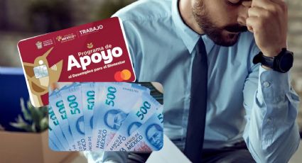 Abren registro para obtener un apoyo de hasta 15 mil pesos si estás desempleado; estos son los requisitos