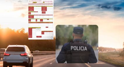 ¿Vas a viajar por carretera?; estas son las multas y los policías que pueden aplicar infracciones