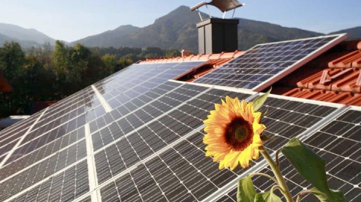 Ahorra en tu recibo de la CFE; conoce las marcas de paneles solares en México
