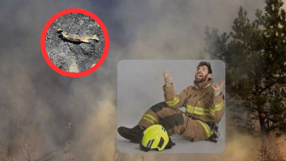 Pez causa incendio